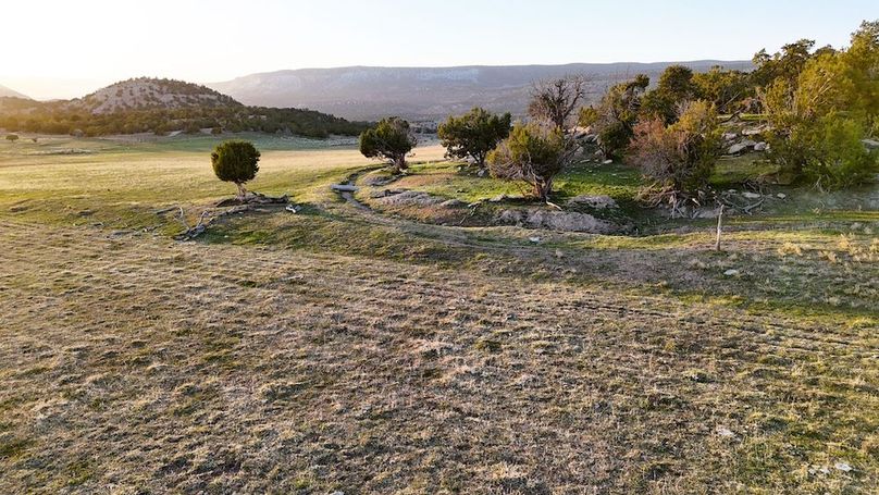 DJI_20250409193753_0111_D