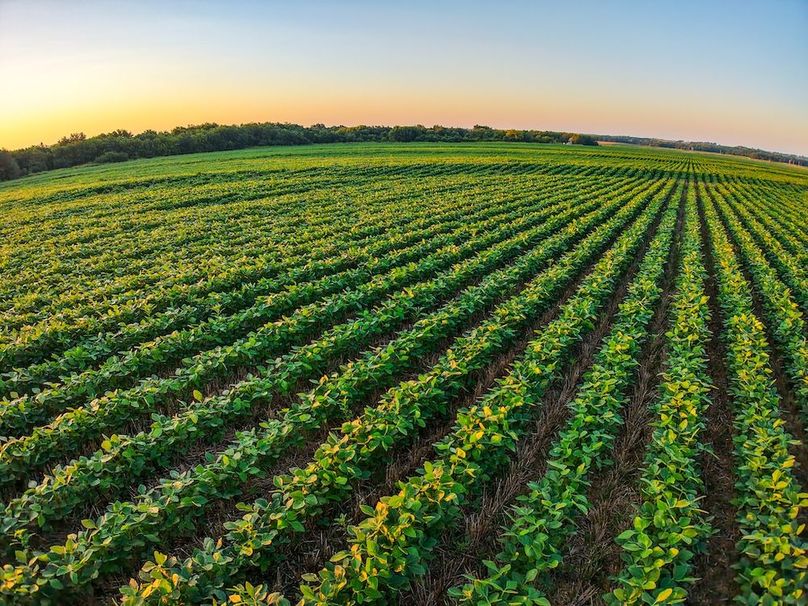 DJI_20250816070321_0720_D