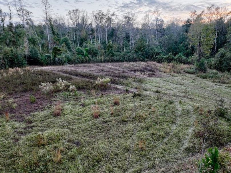 524762E3-DCAA-4332-9601-720D2A31874A_1_105_c