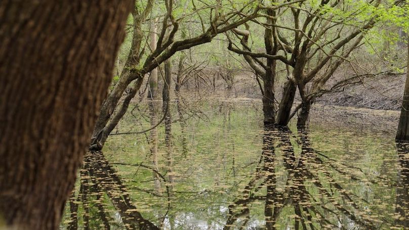 Marion TX 143 and 117 Featured_WEB.00_04_40_27.Still010