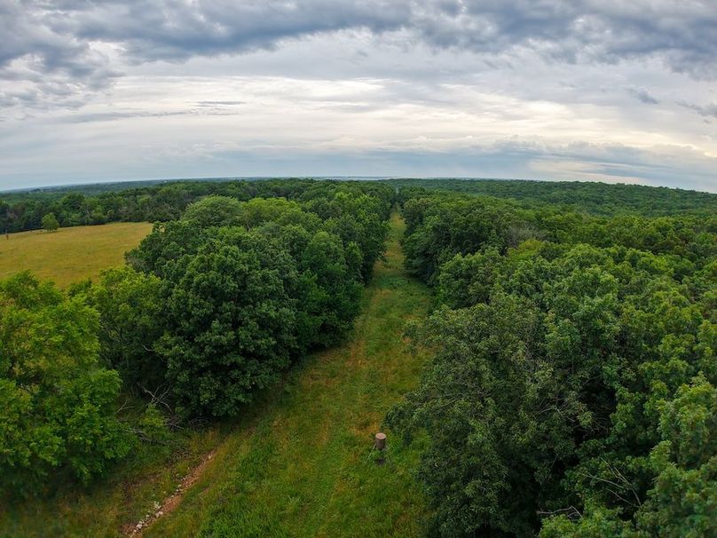 DJI_20250630071300_0305_D
