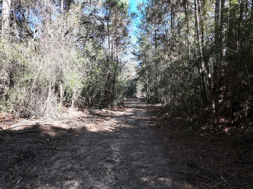 dji_fly_20251209_122156_0767_1765308497605_photo