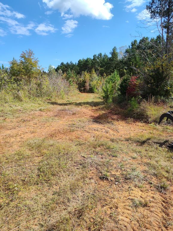 IMG_20231009_134258912