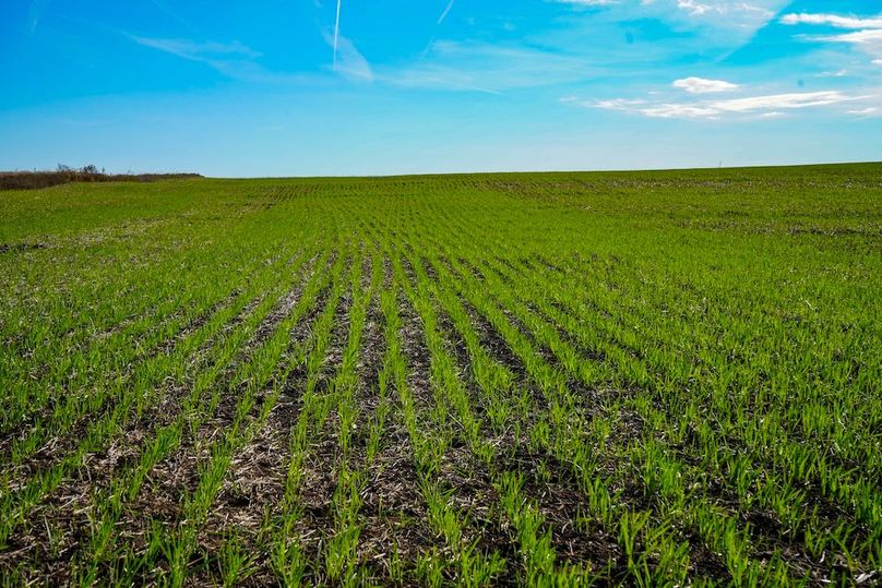 Dickinson Co, 154.5_011