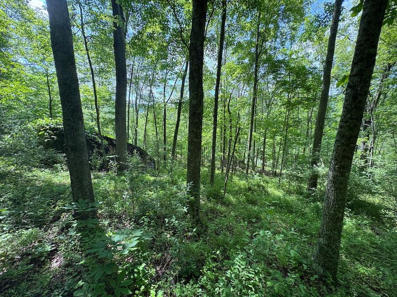 Calhoun, WV 29 AC Minney-26