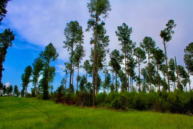 907C2558-7A7E-47FF-9E45-68C156942400_1_105_c