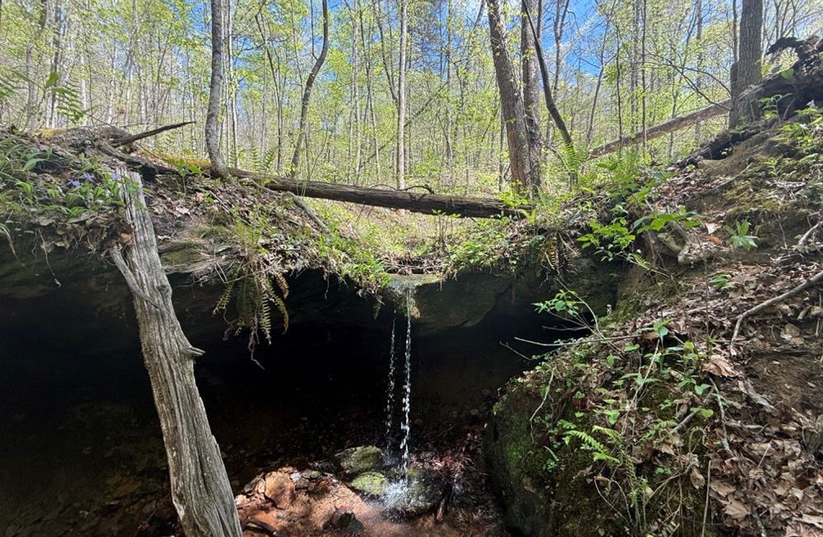 004 cool waterfall in the middle area of the property