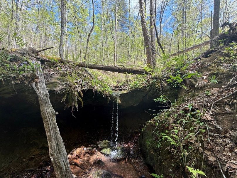 004 cool waterfall in the middle area of the property