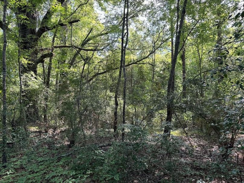 7510BCD2-844C-401E-83B5-A8F58846C09C