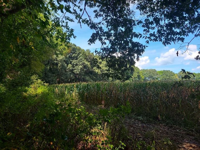 31.40ac_QAnnes_PIC_010