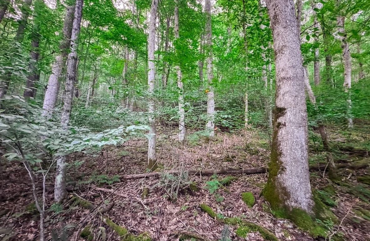 Webster, WV 42 AC Barger-03