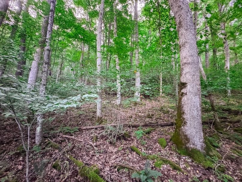 Webster, WV 42 AC Barger-03