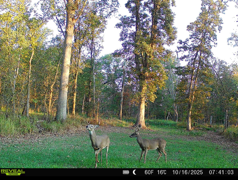 Screenshot 2026-04-09 at 12.50.51 PM