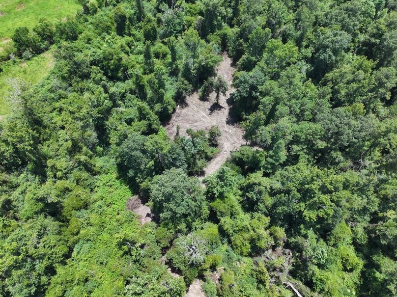 dji_fly_20250708_124016_0217_1752089881352_photo