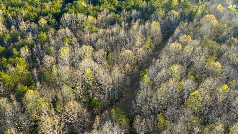 Granville NC 183 Premium _Pro Photo-79