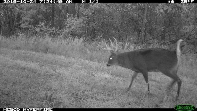 2018-10-24 07-24-49 M 1_1