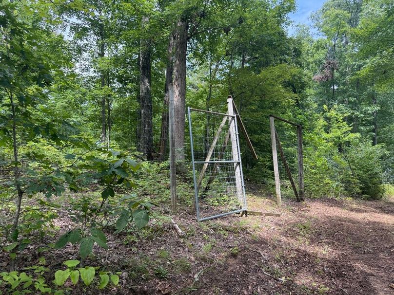 034 what remains of the internal high fence from years ago