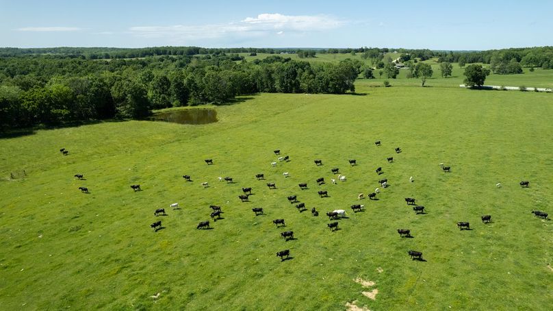 DJI_0068