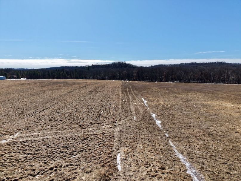 Jackson 27 Pics - 13