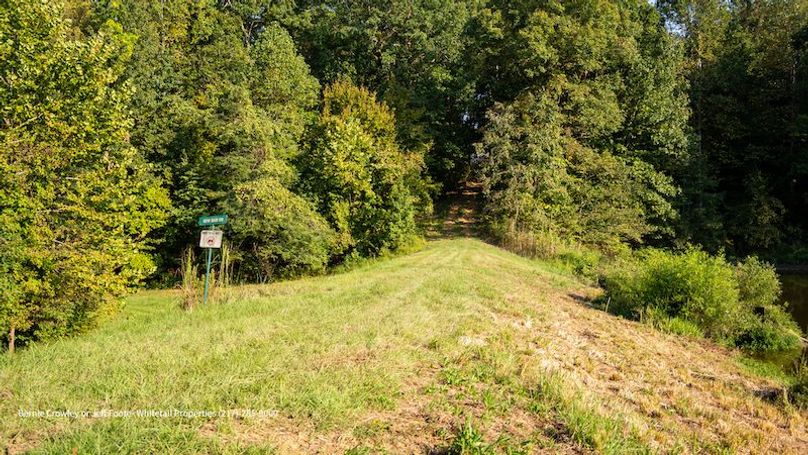 Tallahatchie 847 Messina-28