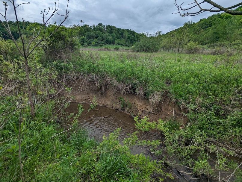 PXL_20240515_154452056