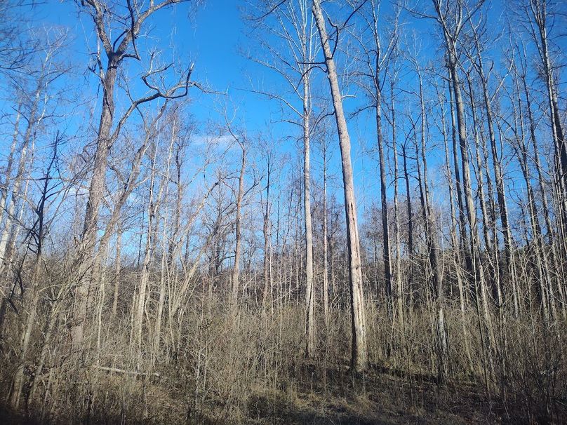 IMG_20240302_164034080