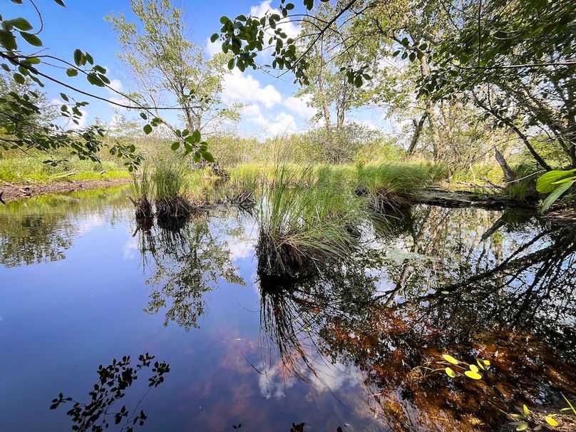 Oswego_100_Roof_Photos_22