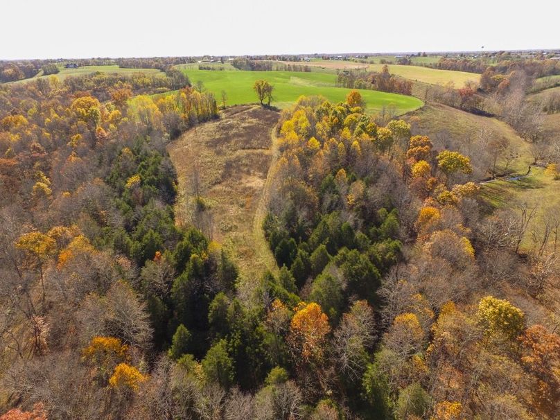 Fleming Petry 120-029