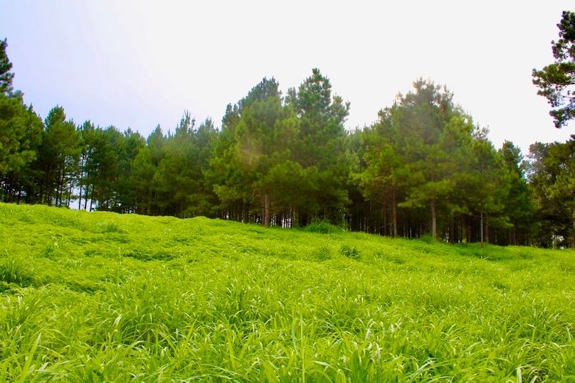 CF83A699-1C3B-46C2-9AEA-3575E741145D_1_105_c