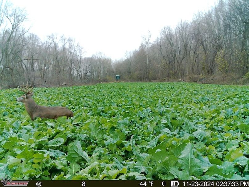 fullversion-b340e8d4fbdf57269b3fc5fe67b95d3cf3c8f334 (1)