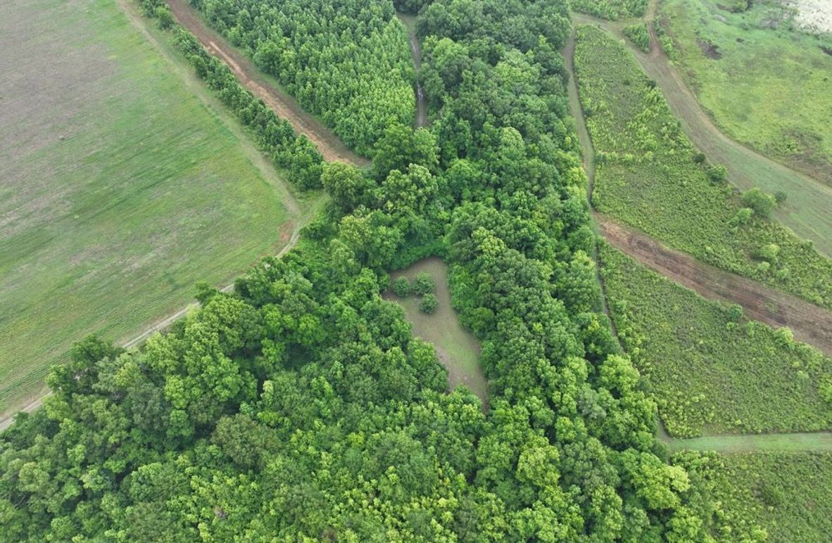 dji_fly_20260523_115854_471_1779631905334_photo