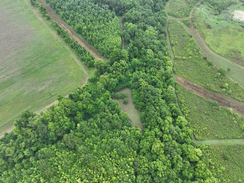 dji_fly_20260523_115854_471_1779631905334_photo