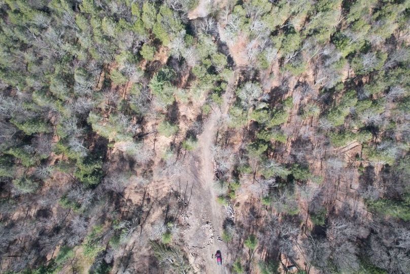 dji_fly_20260330_124740_555_1775656615143_photo