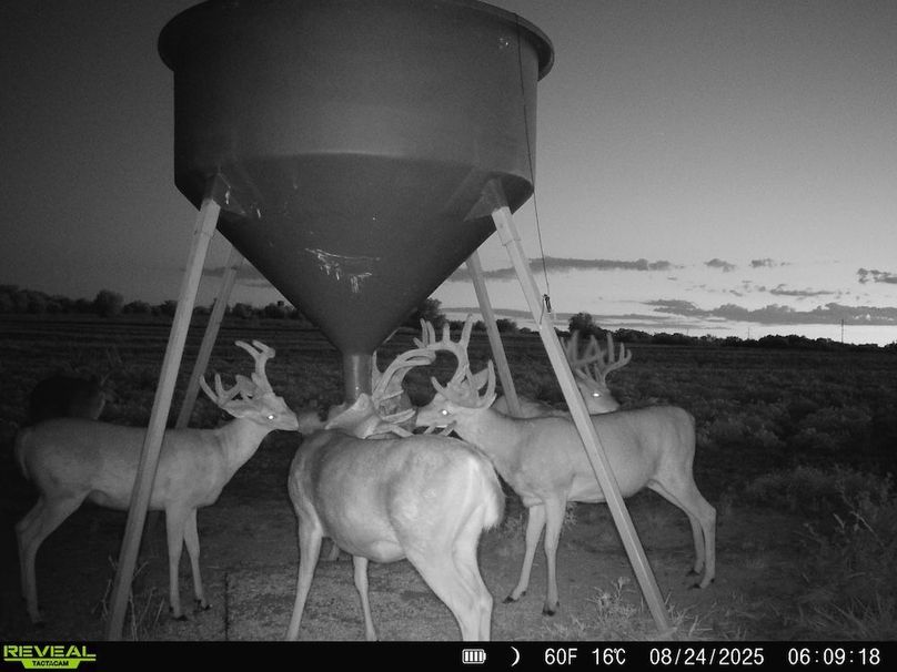 860516064952926-100-3-08252025052848-HD-SYFW3051