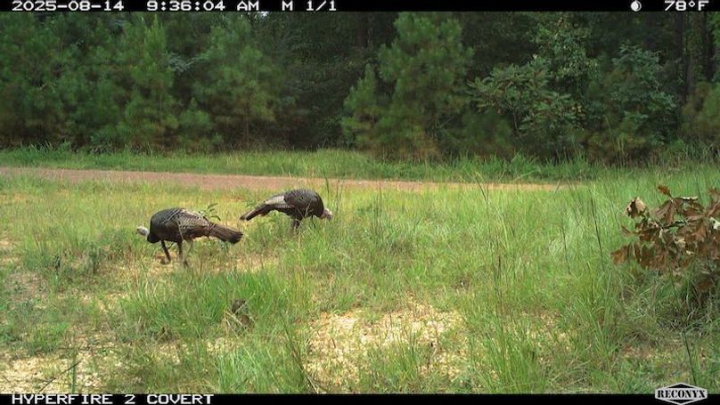 TwinStatesTrailCam06b