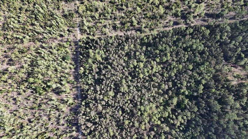 DJI_20260422092547_0502_D