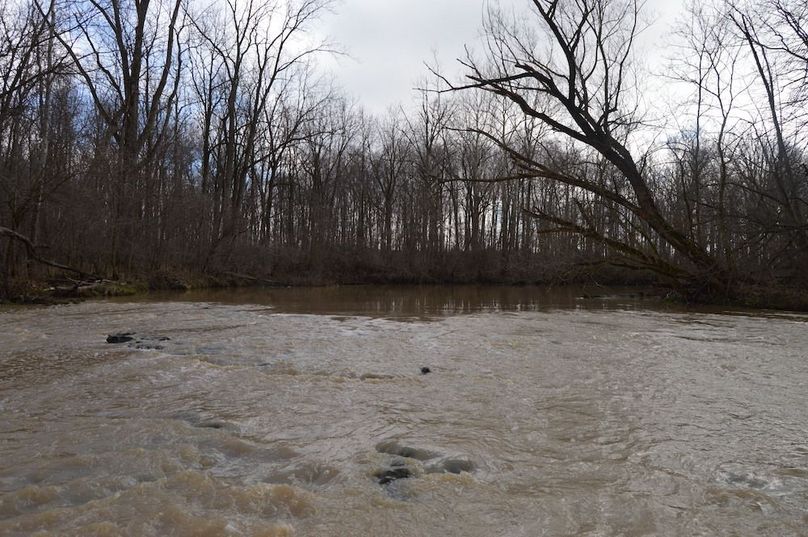 view from middle of creek