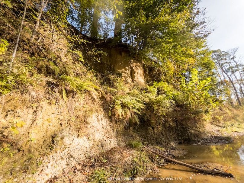 Claiborne Co-189-Geronimo-35