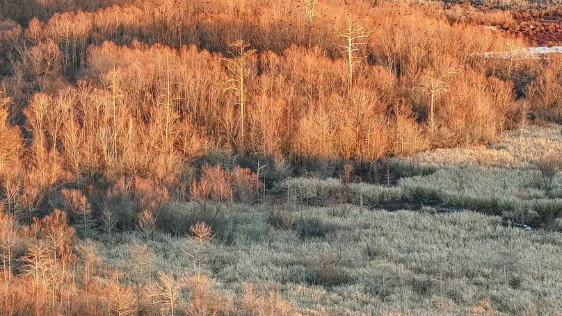 St. Francis 138.5 Calvin Parker Farms Profile -11