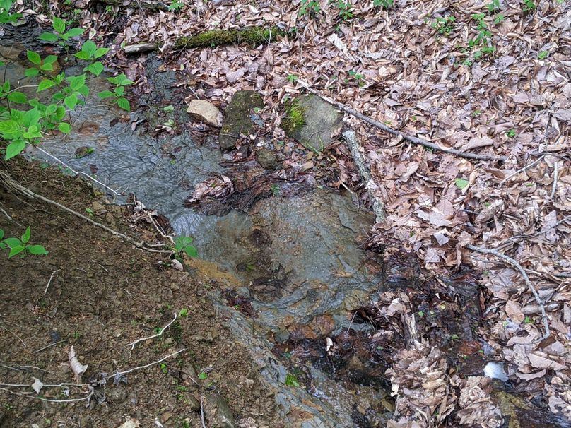 PXL_20230504_222351154