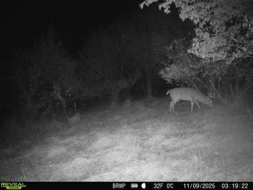 860322065924133-100-4-11092025031922-W1000723