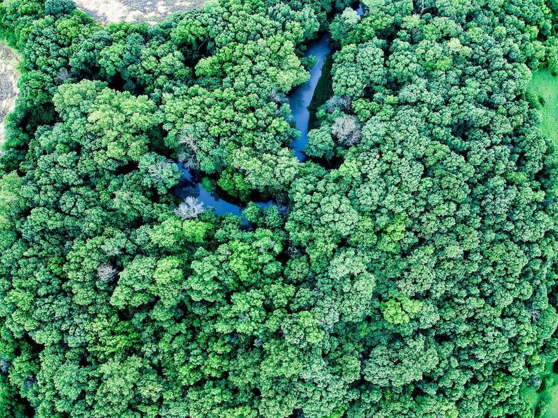 DJI_20260529194705_0208_D