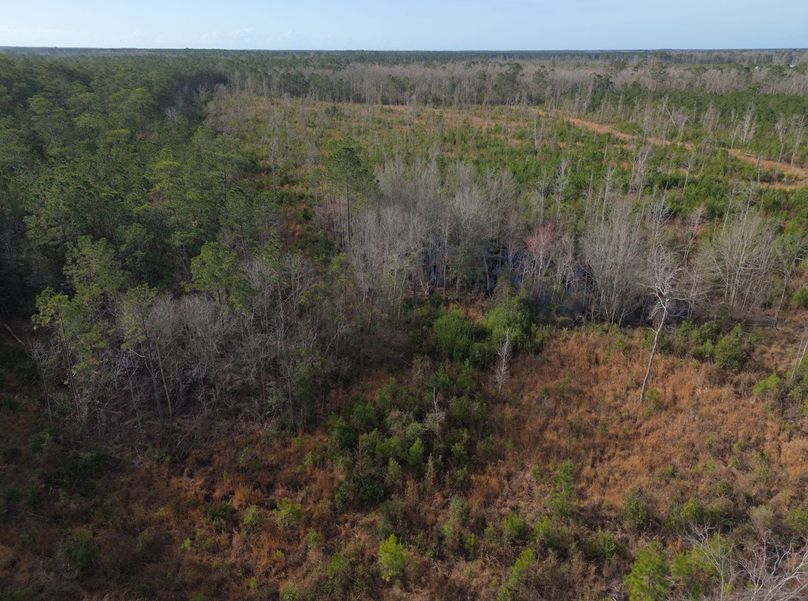 DJI_20240227084656_0058_craven60