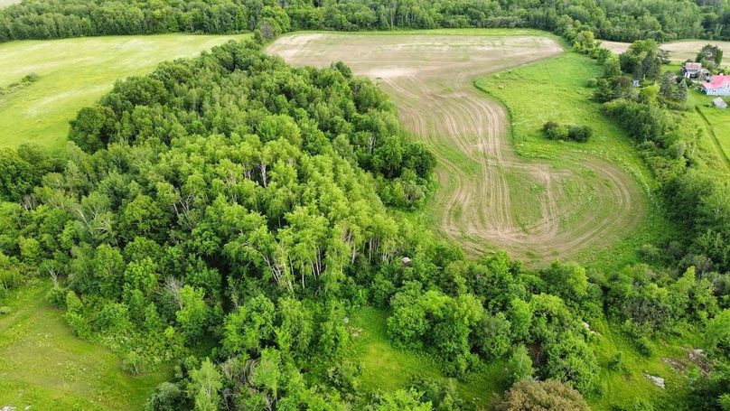 dji_fly_20240610_182508_395_1718061917584_photo_optimized