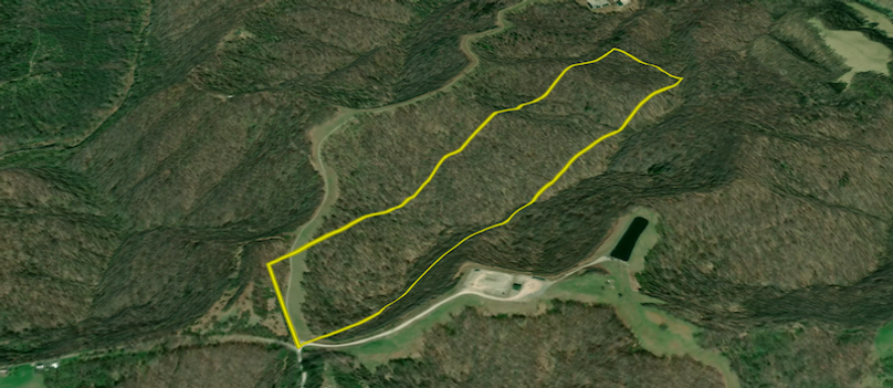 Screenshot 2026-03-24 at 8.21.13 PM