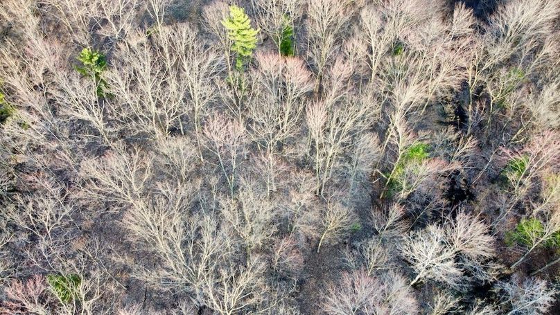 dji_fly_20240415_183052_86_1714493913595_photo_optimized