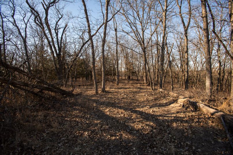 WORTH CO MO 537.44_88