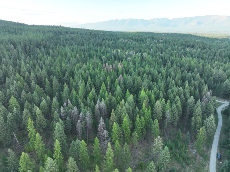 DJI_0589