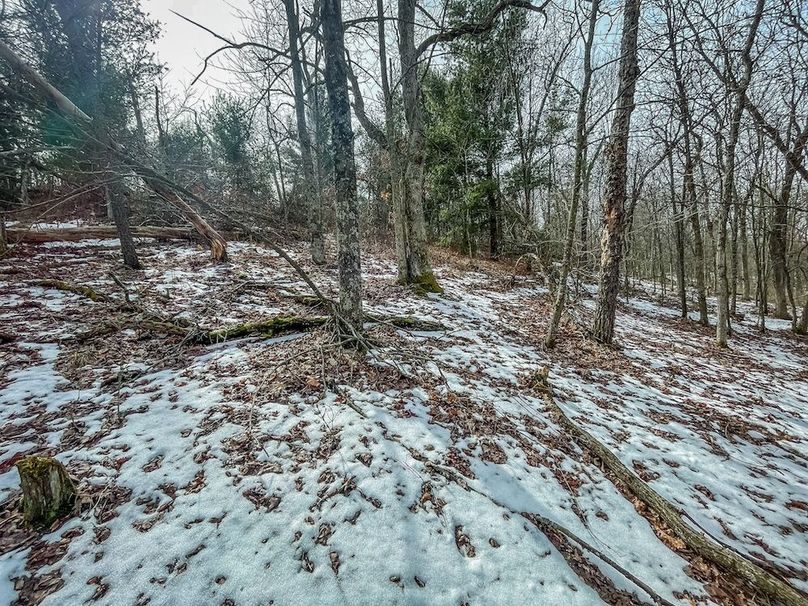 Adams 10.06 Johnson-34