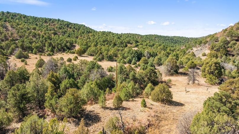 DJI_20260326120820_0419_D_1